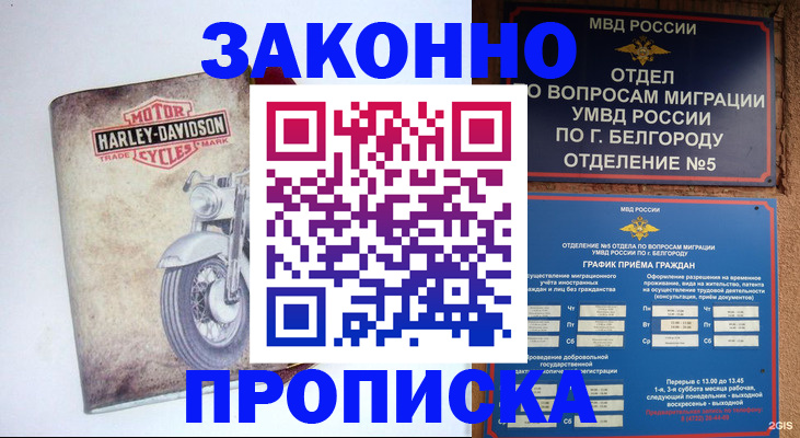 прописка для школы в Кудрово